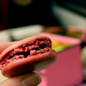 Macarons à la noix de coco