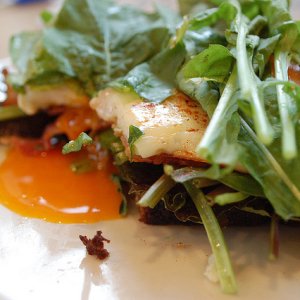 Salade Oeufs Pochés